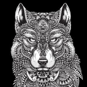 Meet your Posher, Kaitlyn